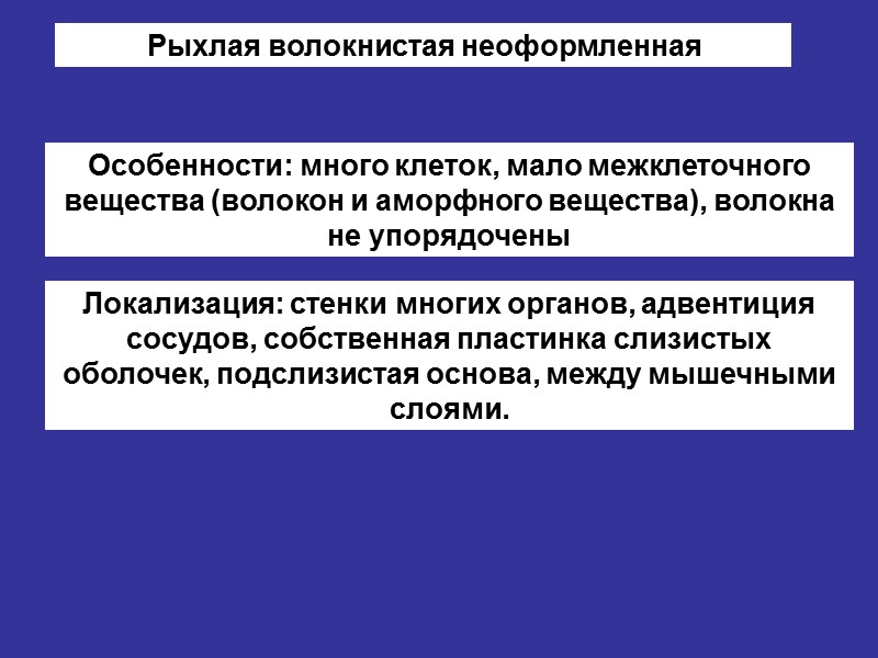 Рыхлая волокнистая неоформленная Особенности: много клеток, мало межклеточного вещества (волокон и аморфного вещества), волокна